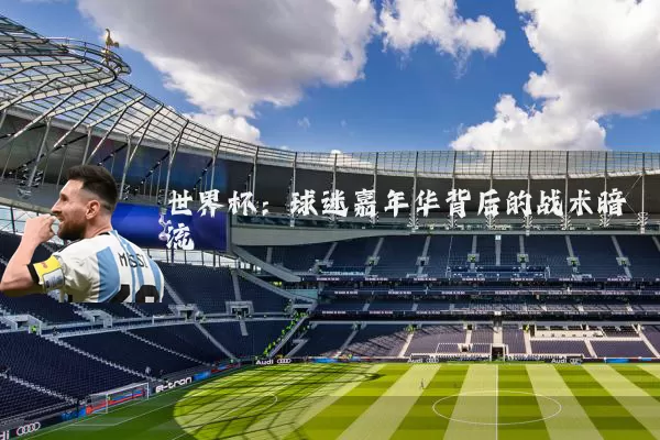 世界杯:球迷嘉年华背后的战术暗流